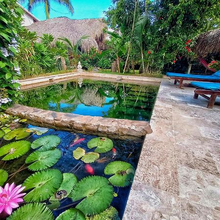 Casa Picaflor Bed & Breakfast Las Terrenas Luaran gambar