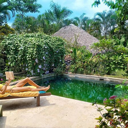 Casa Picaflor Bed & Breakfast Las Terrenas Luaran gambar