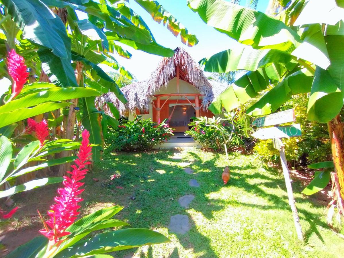 Casa Picaflor Bed & Breakfast Las Terrenas Luaran gambar